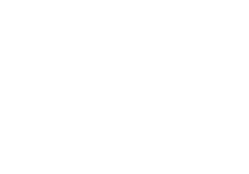 Institute for a Safer Florida